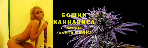 apvp Аркадак