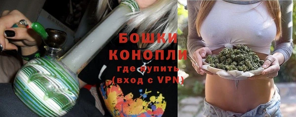 apvp Аркадак